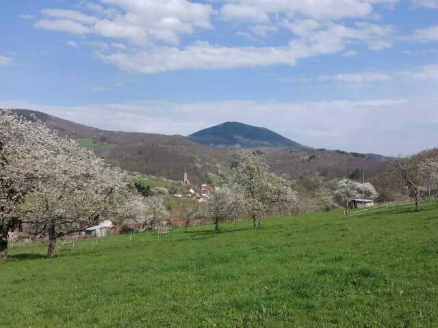 Marche du temps profond