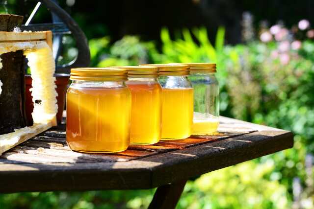 Atelier lactofermentation et conservation