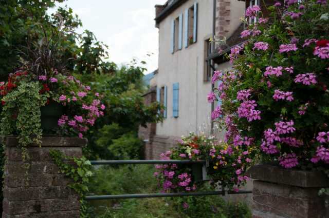 Exposition : les 50 ans de la SHVV et visite guidée de Villé