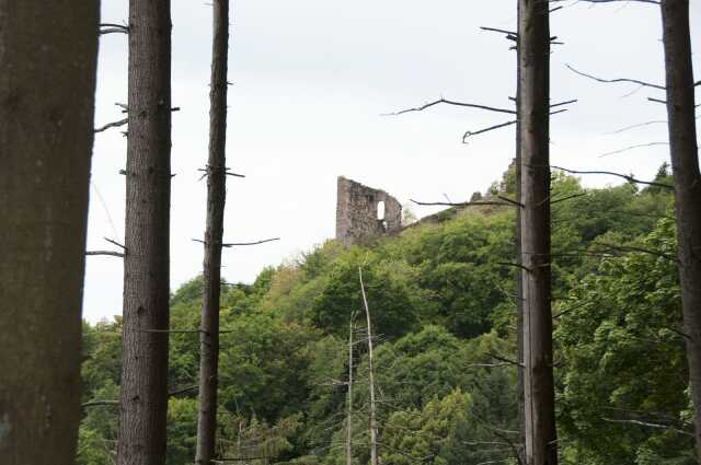 Visite guidée : Château du Bilstein
