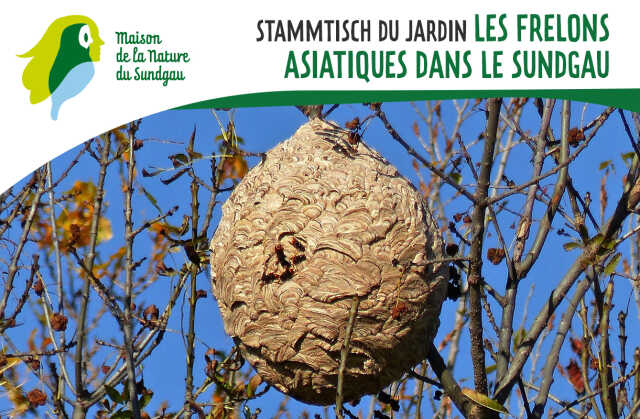 Stammtisch du jardin - À la découverte des abeilles et de l'apiculture