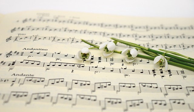 Concert de printemps au profit des travaux dans l'église