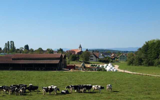 9ème balade gourmande nature et patrimoine