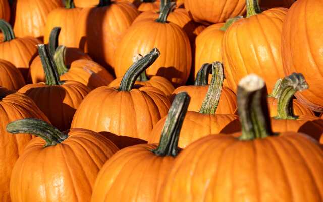 Marché d'automne