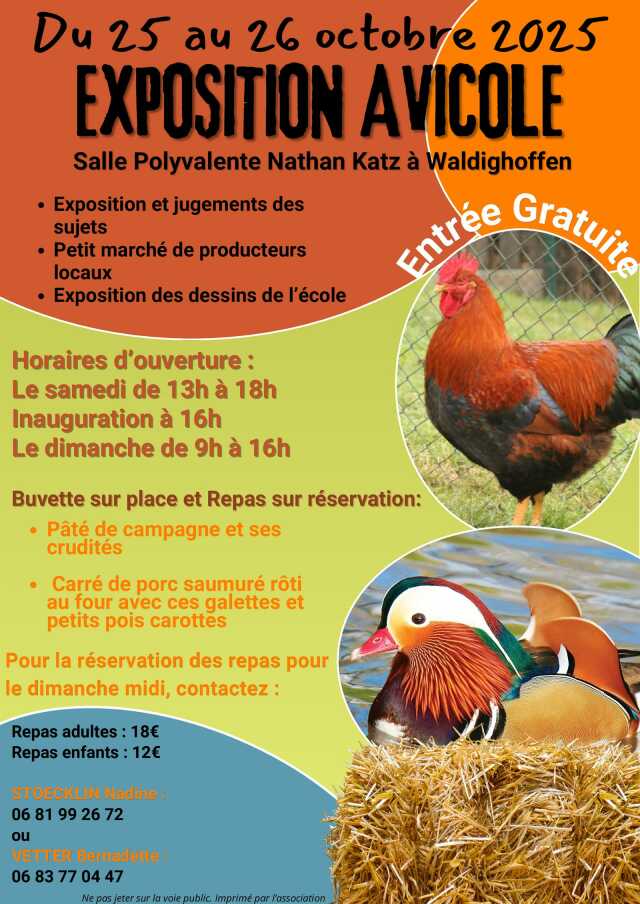 Marché de Noël - Waldighoffen