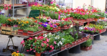 Marché aux fleurs