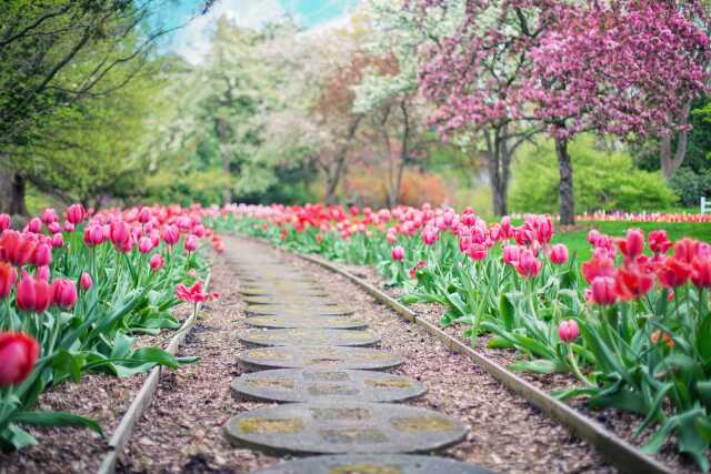 Jardins ouverts