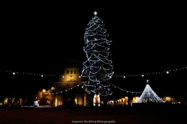 Illumination du sapin de Noël