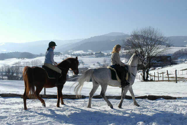 Balades enfant/famille à cheval