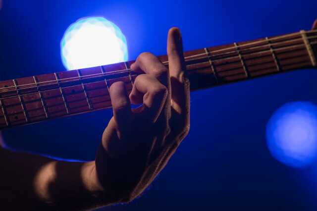 Concert Fred Goetzmann