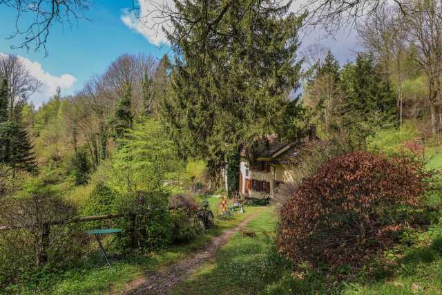 Jardin en Fêtes