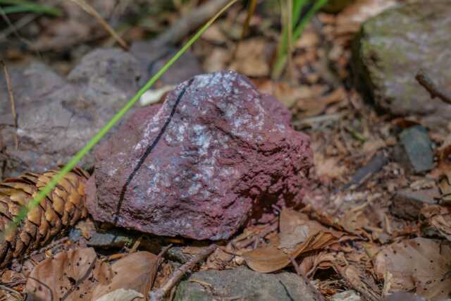Dix ans d'archéologie dans la vallée de la Bruche