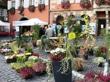 Journée couleurs d'automne