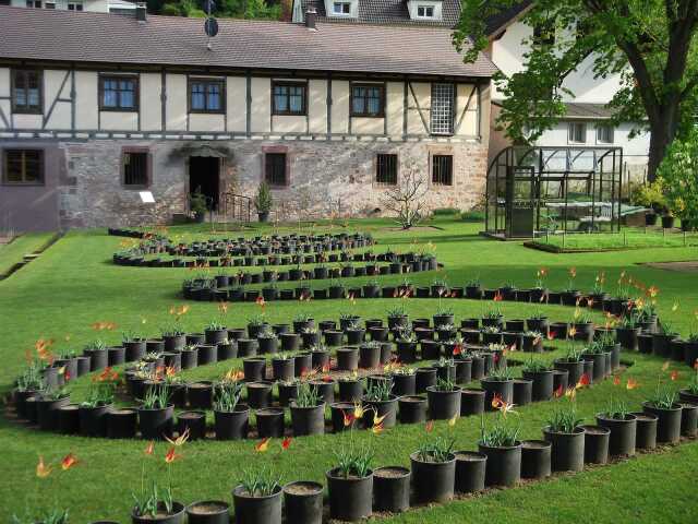Découvrez le moulin et ses jardins