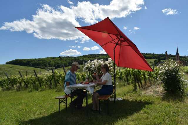 Pique-nique du vigneron -  Domaine Frey