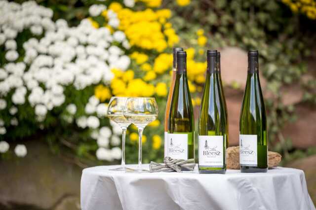 Noël chez le Vigneron