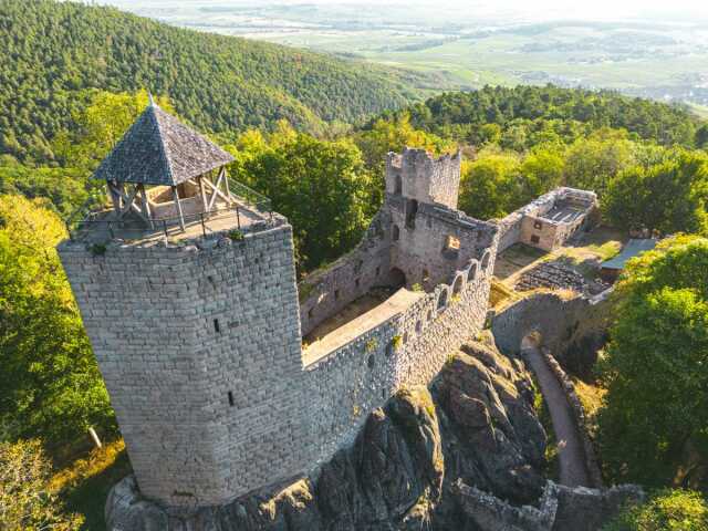 Journée des bénévoles au château du Bernstein