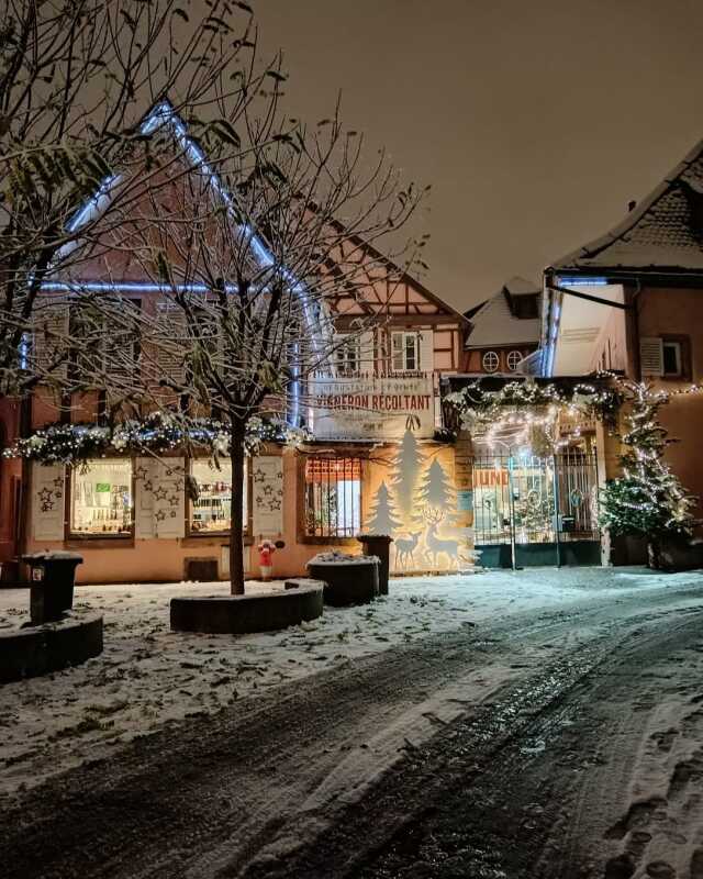 Cave de Noël - De la cave à la légende de Saint Nicolas - Domaine Martin Jund