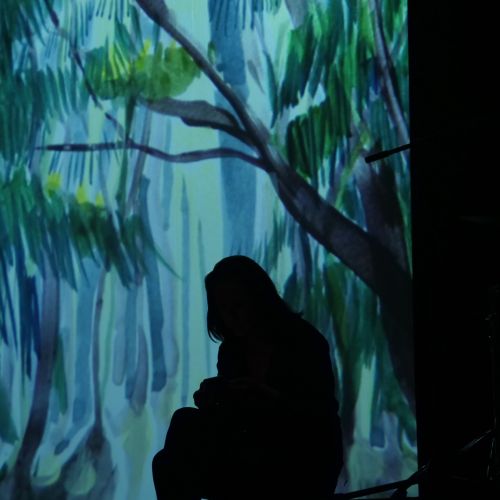 Actions culturelles - Personnages totem