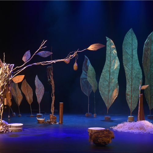 Jeune public - Drôles d'oizo