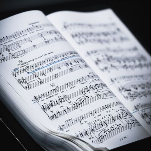 Concert - Féminin pluriel