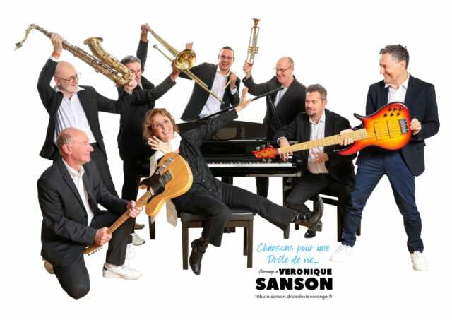 Concert - Chansons pour une drôle de vie, hommage à Véronique Sanson