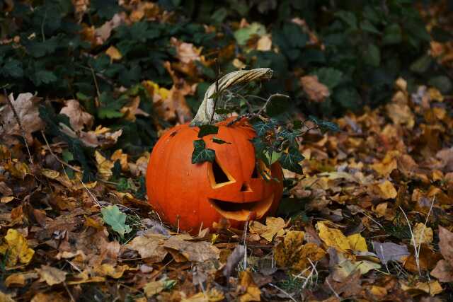 Halloween et ses navets