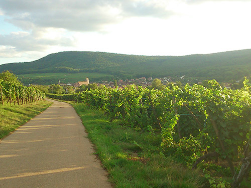 Marche populaire