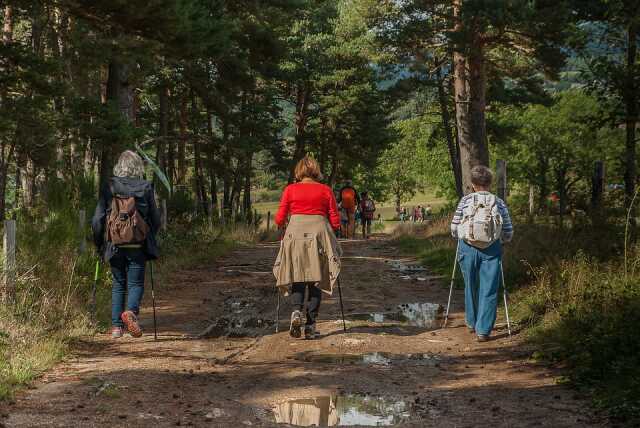 Sortie avec le Club Vosgien du Kochersberg : Autour de Truchtersheim