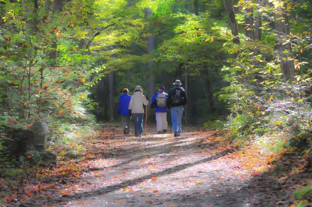 Sortie avec le Club Vosgien du Kochersberg : Sur les hauteurs de Lembach