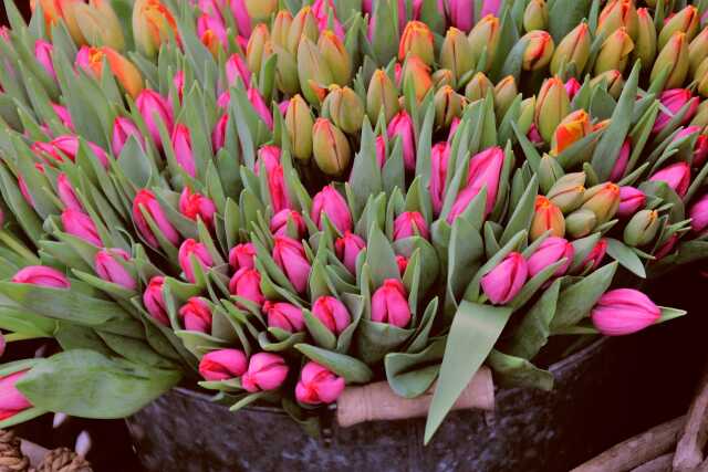 Marché de Printemps et du Terroir