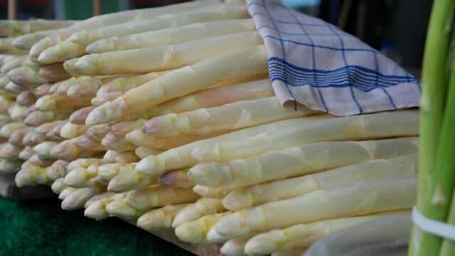 Fête de l'Asperge