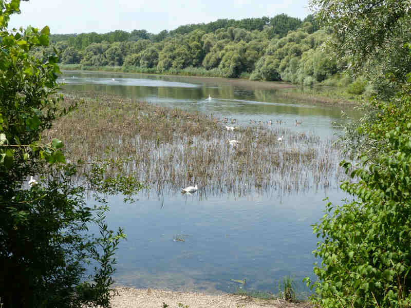 Visite de la Réserve Naturelle