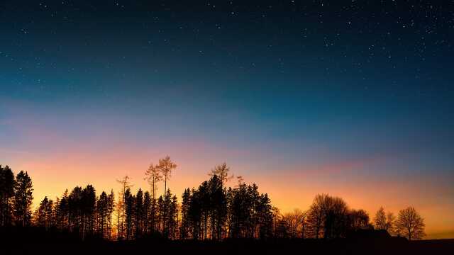 Quand le jour laisse place à la nuit dans les prairies humides