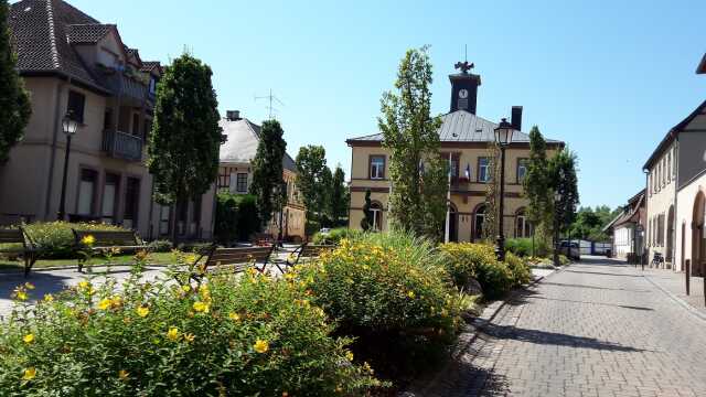 Balade ludique à Seltz
