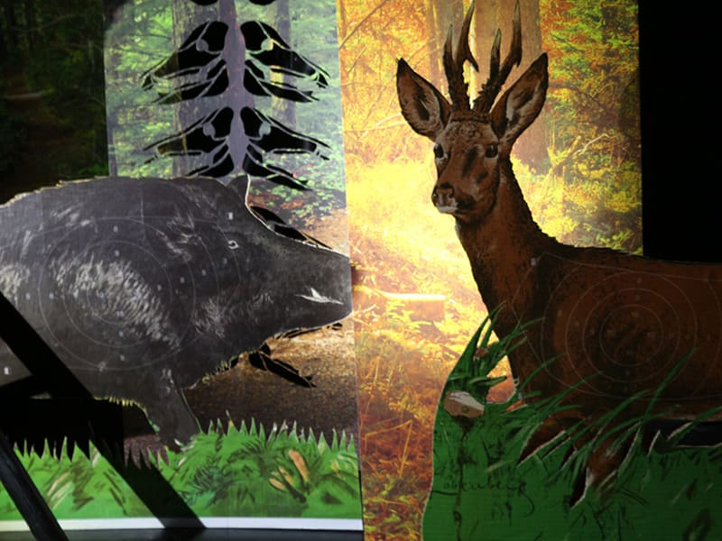 Spectacle musical - Histoires à faire danser comme des flocons