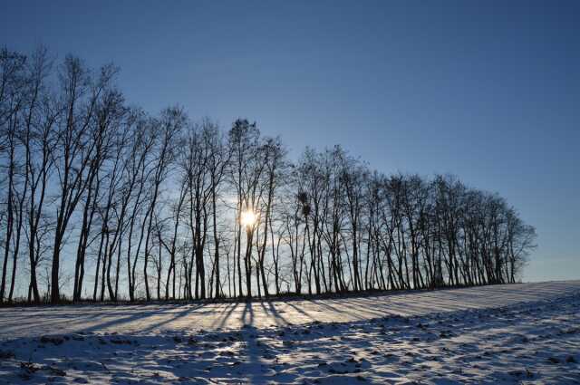 Marche Hivernale