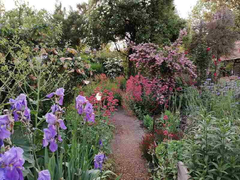 Le Jardin de Reines