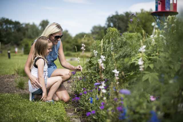 Visites guidées dans les jardins de l'Altwasser