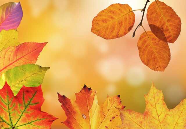 Les couleurs de l'automne à la Gutlach
