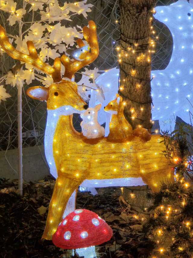 Les Dimanches Illuminés