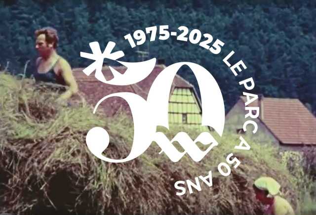 Ciné-débat : Les Vosges du Nord, un pari sur l'avenir