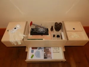 Visite sensorielle : à la découverte du musée