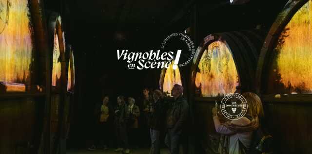 Vignobles en Scène Alsace