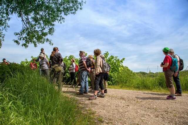 Sortie : l'équilibre de la forêt