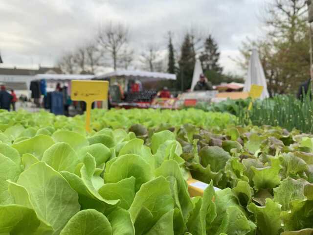 Marché hebdomadaire