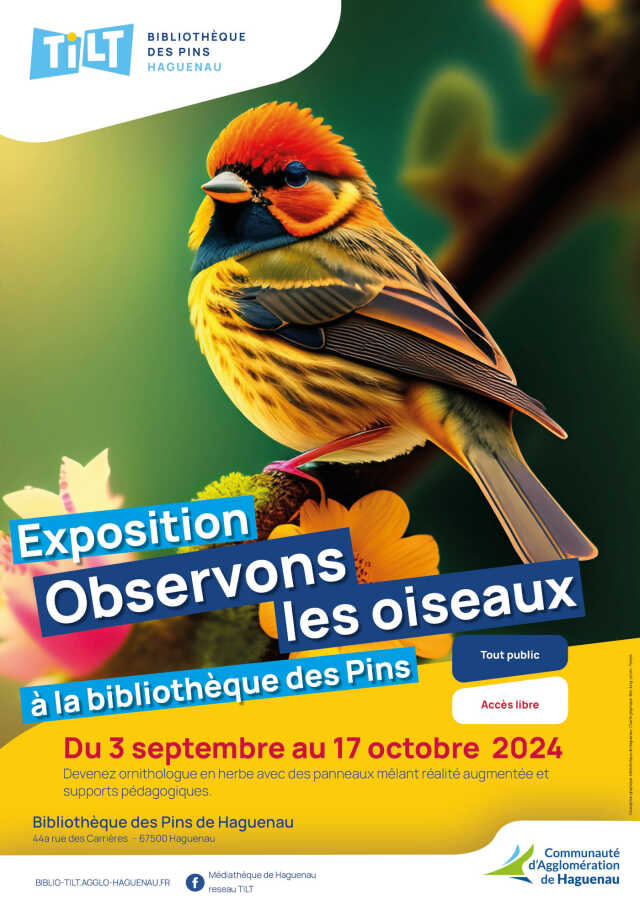 Exposition : observons les oiseaux