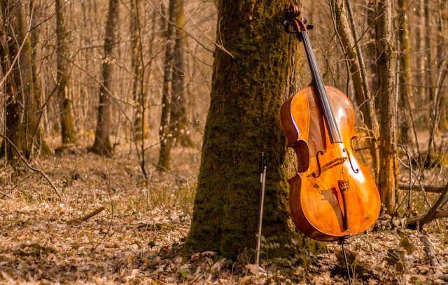 Concert - Le violoncelle au fil du temps