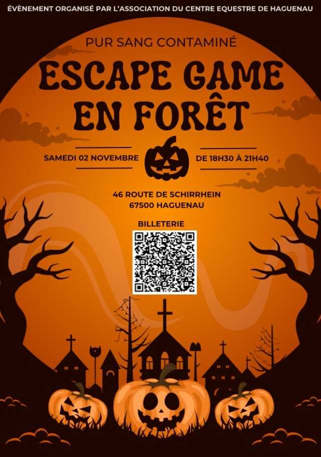 Escape Game en Forêt