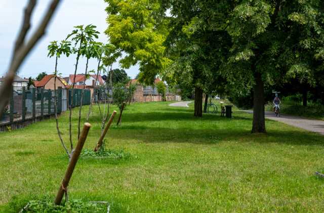 Le jardin philosophique